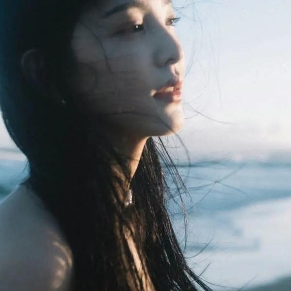 凤舞龙翔
